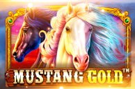 Mustang Gold